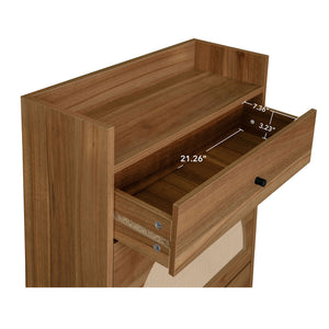 2-Door Shoe Storage (43'')