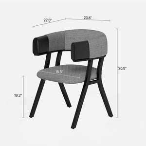 Modern Dining Chair (Set of 2)