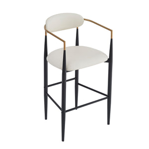 Iron Frame Bar & Counter Stools (Set of 2)