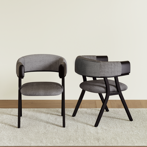 Modern Dining Chair (Set of 2)
