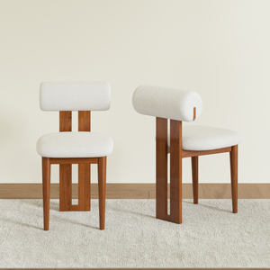 Woce Mid-Century Modern Dining Chairs (Set of 2)