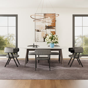 Modern Dining Chair (Set of 2)