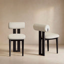 Woce Mid-Century Modern Dining Chairs (Set of 2)