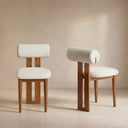 Woce Mid-Century Modern Dining Chairs (Set of 2)