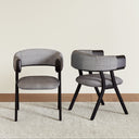 Modern Dining Chair (Set of 2)