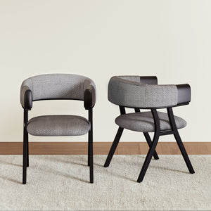 Modern Dining Chair (Set of 2)