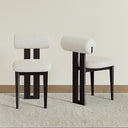 Woce Mid-Century Modern Dining Chairs (Set of 2)