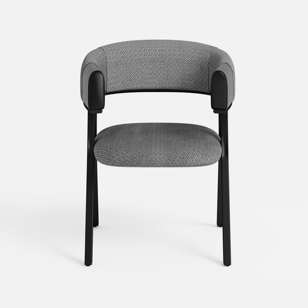 Modern Dining Chair (Set of 2)