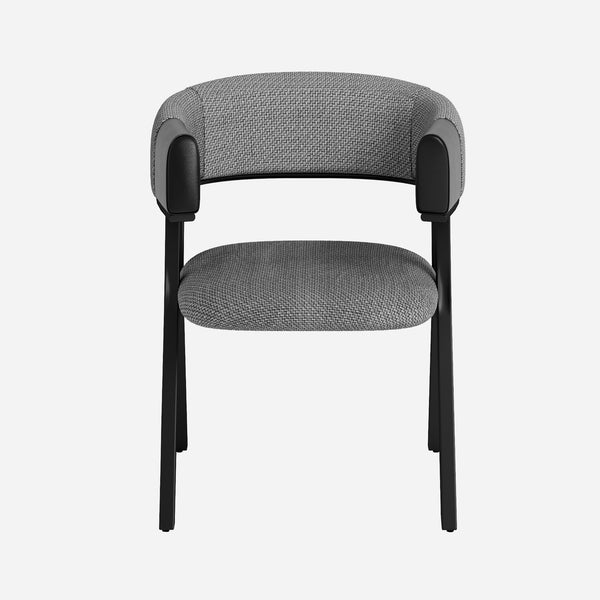 Modern Dining Chair (Set of 2)