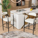 Iron Frame Bar & Counter Stools (Set of 2)