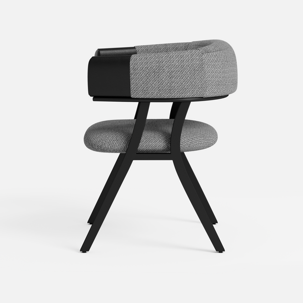 Modern Dining Chair (Set of 2)
