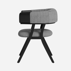 Modern Dining Chair (Set of 2)