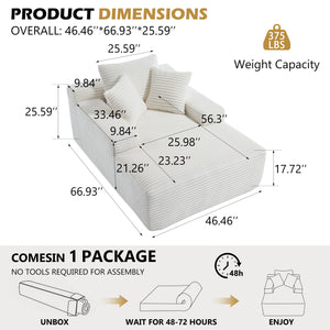 Modern Lounge Sleeper Sofa (46'')