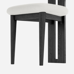 Woce Mid-Century Modern Dining Chairs (Set of 2)