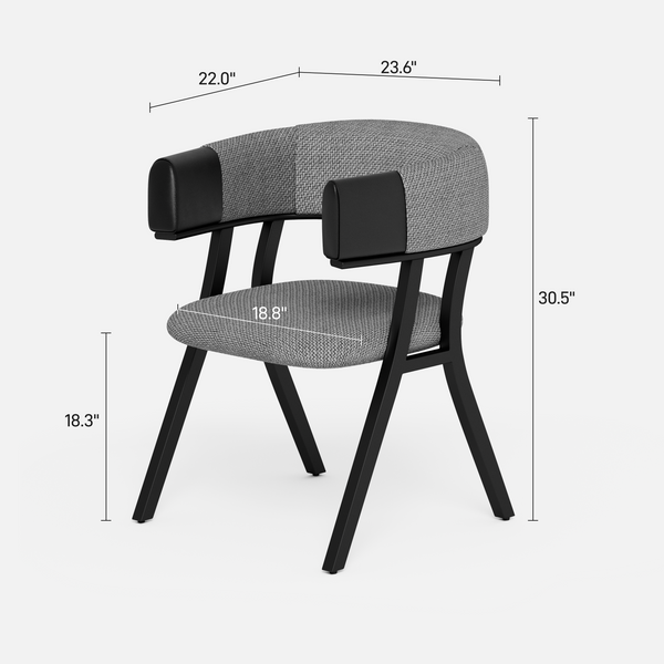 Modern Dining Chair (Set of 2)