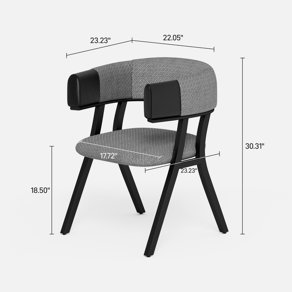 Modern Dining Chair (Set of 2)