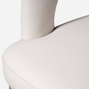 Callisto Upholstered Dining Chairs (Set of 2)