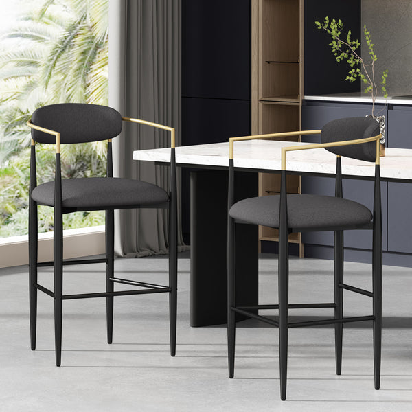 Iron Frame Bar & Counter Stools (Set of 2)