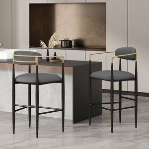 Iron Frame Bar & Counter Stools (Set of 2)